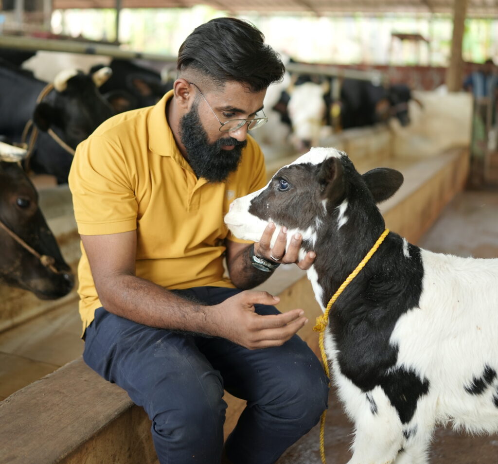 Buffalo Milk