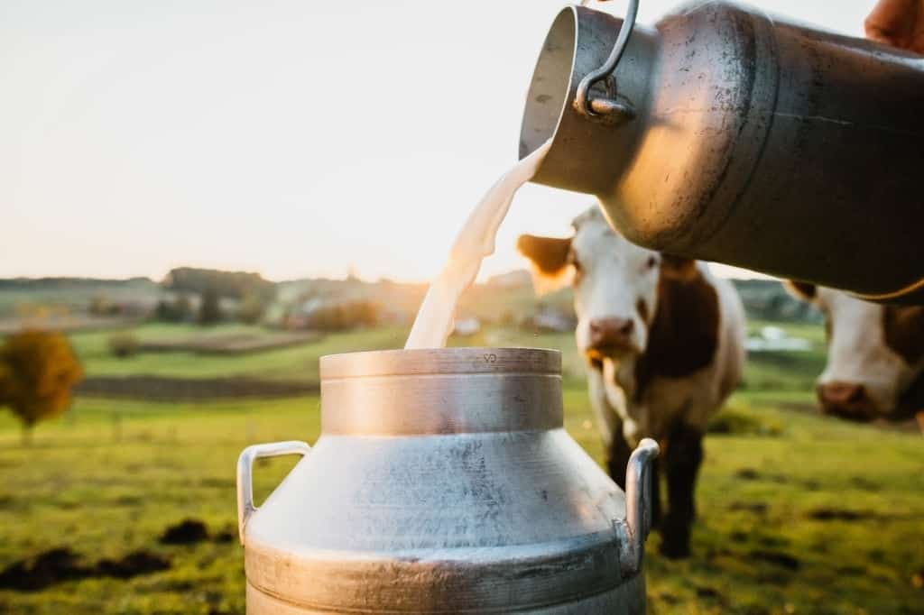 Farm 2