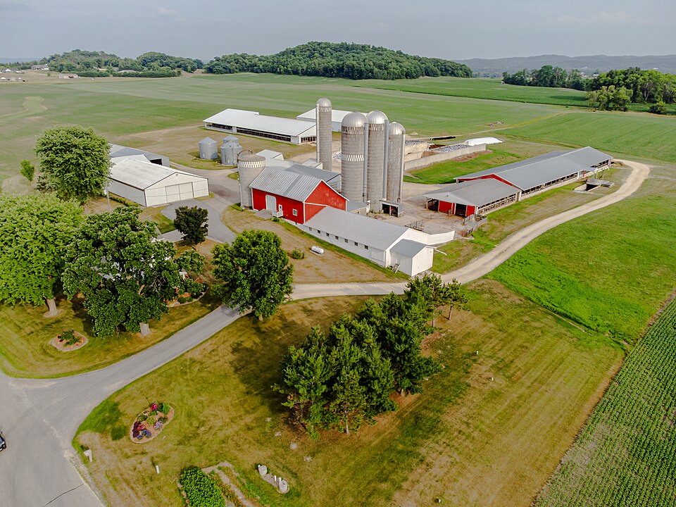 Farm 3