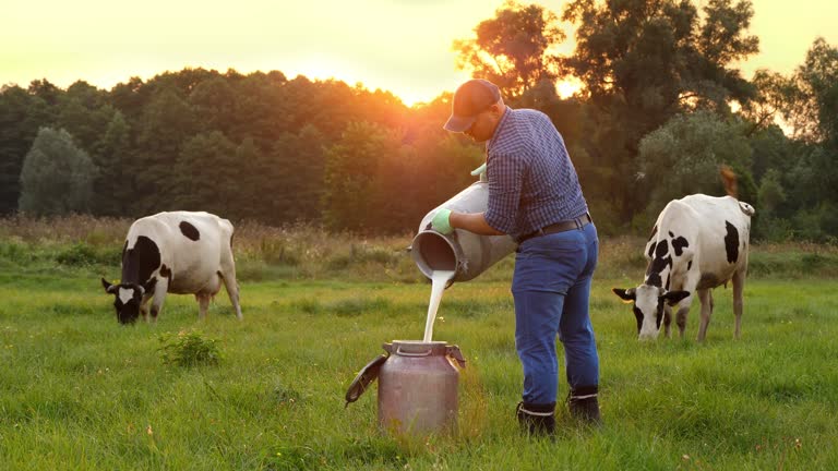 Dairy Farm